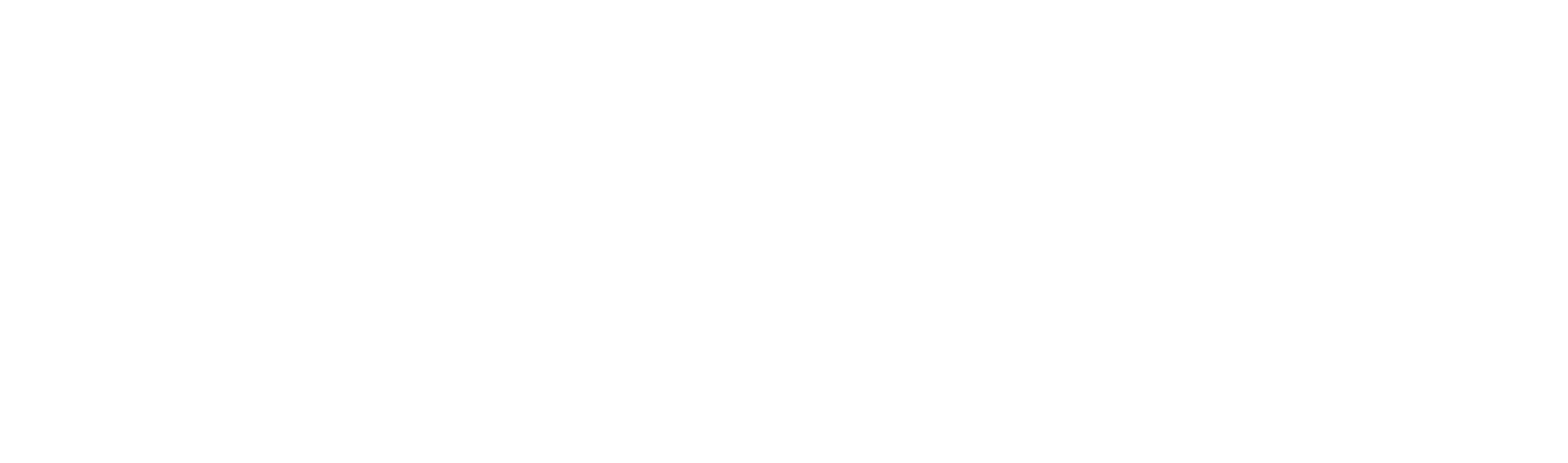 Aiman Project Developers